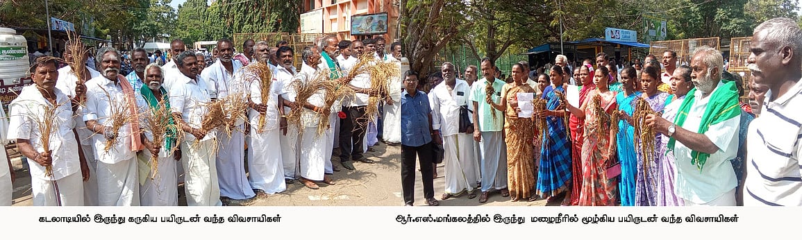 பாதிக்கப்பட்ட நெல் பயிா்களுக்கு இழப்பீடு வழங்கக் கோரி விவாயிகள் போராட்டம்