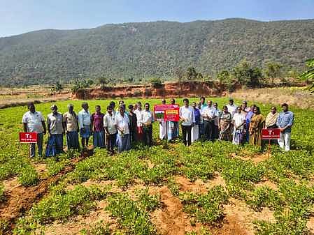 அய்யம்பேட்டையில் நிலக்கடலை வயல்வெளி விழா