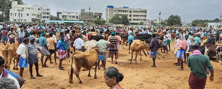 ஒட்டன்சத்திரம் வாரச் சந்தையில்
இருவழிக் கட்டண வசூல்: அதிருப்தியில் விவசாயிகள்