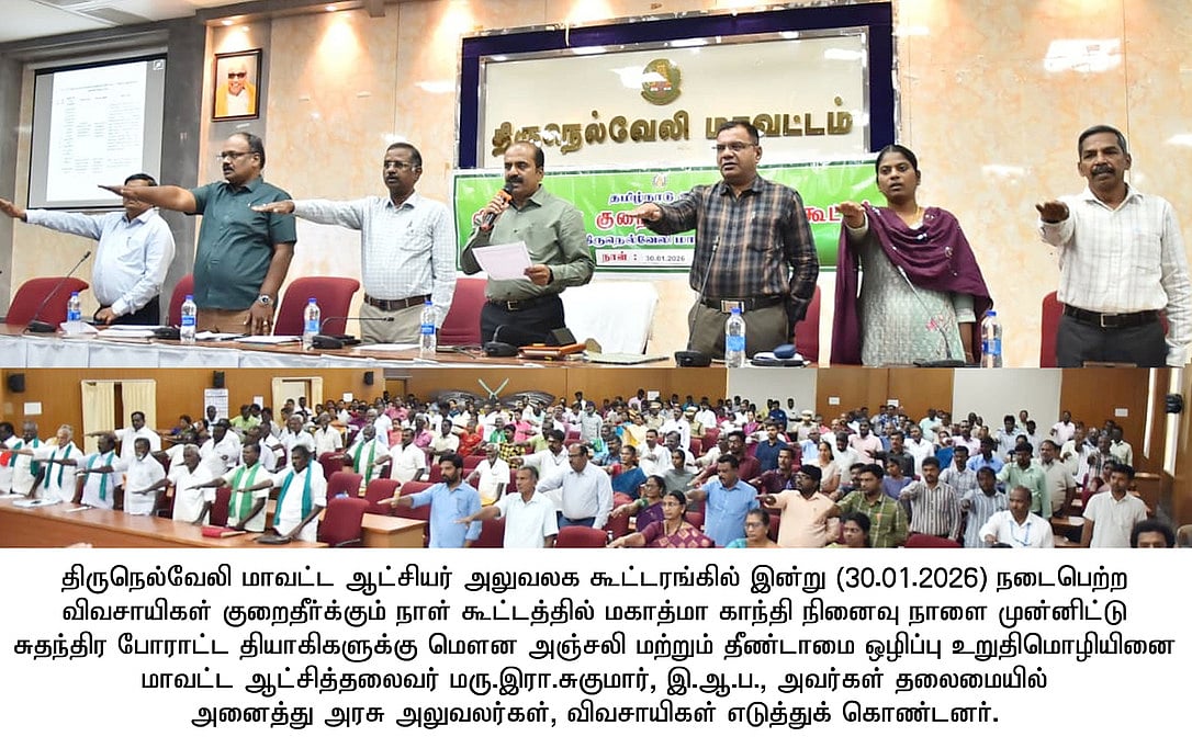 நடப்பாண்டில் வாழைப் பயிா்களின் சாகுபடி பரப்பு 156 ஹெக்டோ் அதிகரிப்பு