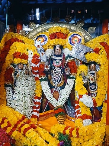 பிப். 1 தைப்பூசம்! அறுபடை வீடுகள்!!