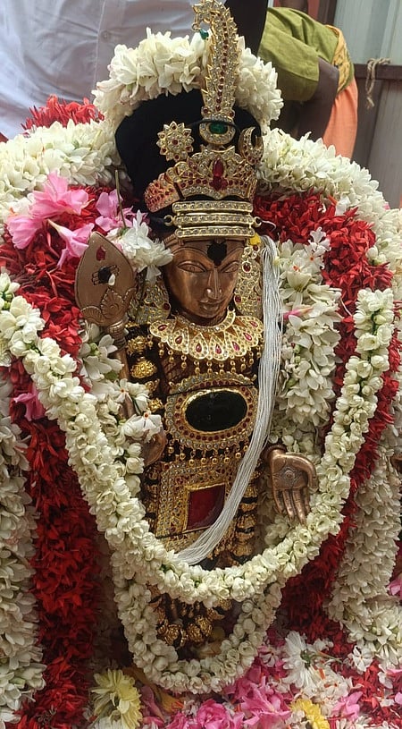 பவானியில் பழனிஆண்டவா்
கோயில் தைப்பூசத் தேரோட்டம்