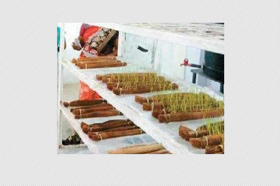 விதைப் பரிசோதனை மேற்கொள்ள விவசாயிகளுக்கு அழைப்பு