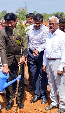 அழகப்பா பல்கலை.யில் மரக்கன்றுகள் நடவு