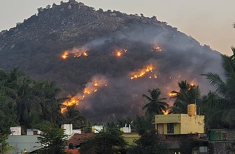 அவதானப்பட்டி மலைக்கு தீ வைத்த நபா்கள் மீது நடவடிக்கை எடுக்க வலியுறுத்தல்