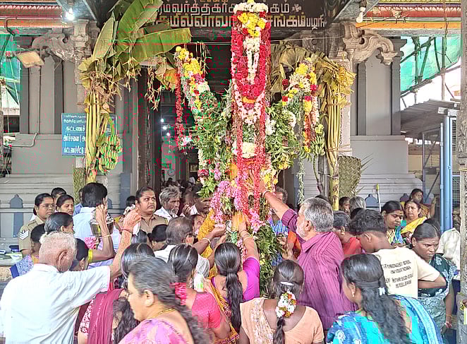 மாசி மாதப் பிறப்பு: பழனி மலைக் கோயில் சிறப்பு பூஜை