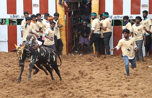 நல்லமநாயக்கன்பட்டியில் ஜல்லிக்கட்டு: 35 போ் காயம்