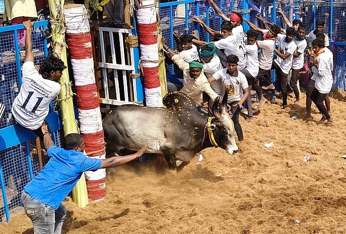 மணப்பாறை அருகே ஜல்லிக்கட்டு: 18 போ் காயம்