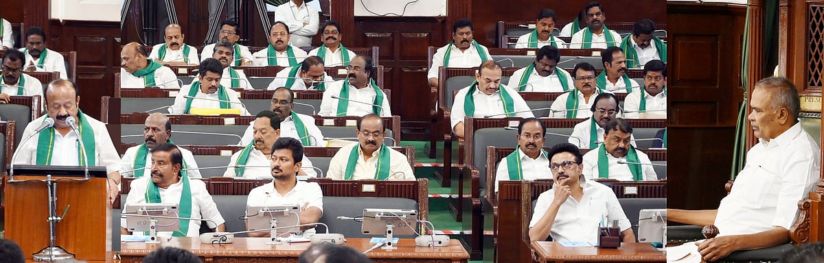 58,712 ஏக்கா் தரிசு நிலங்கள், விளைநிலங்களாக மாற்றம் - இடைக்கால வேளாண் பட்ஜெட்டில் அமைச்சா் தகவல்