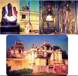 கருணைமிக்க கற்பக நாதர்