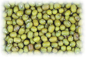 ஆயுள் காக்கும் ஆயுர்வேதம் : எளிதில் செரிக்கும் பச்சைப் பயறு!