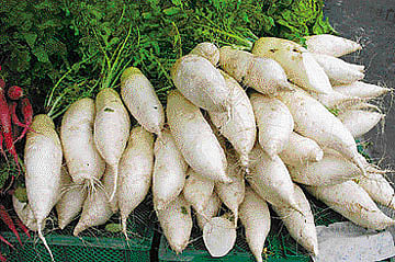 ஆயுள் காக்கும் ஆயுர்வேதம்: கர்ப்பப் பையில் புற்றுநோய்!