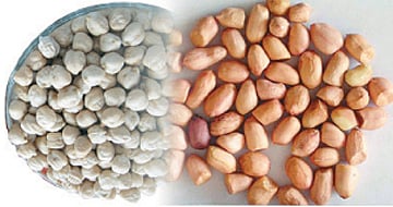 ஆயுள் காக்கும் ஆயுர்வேதம்: வாயுவின் சீற்றத்தைக் குறைக்க..!