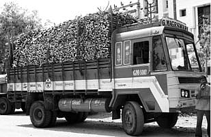 விறகு விலையும் உயர்ந்தது நெருக்கடியில் திருப்பூர் ஆலைகள்: எரிவாயு இணைப்பு ஏற்படுத்துமா அரசு?