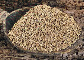 ஆயுள் காக்கும் ஆயுர்வேதம்: தொண்டைச் சளிக்கு ஓமம்!