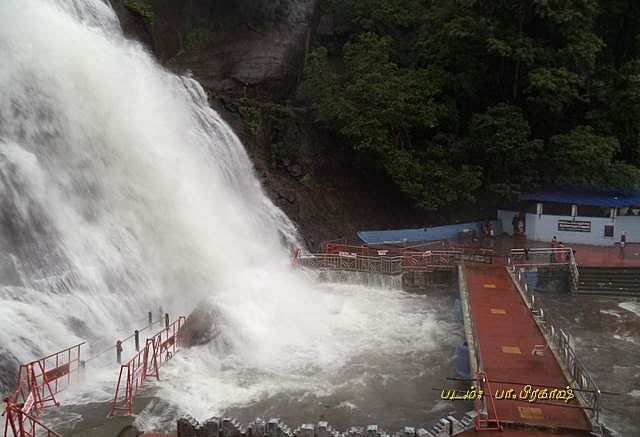 குற்றாலம் பேரருவியில் குளிக்கத் தடை