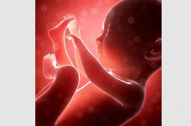 தாய்க்காக குழப்பக் கடலில் மிதந்து காத்திருக்கும் மனித கருக்கள்!