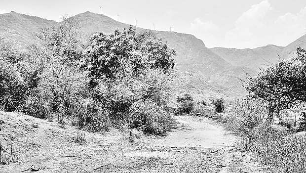 தேனி மாவட்டத்தில் 36 ஆண்டுகளாக வனத்துறை அனுமதிக்கு காத்திருக்கும் கேரள இணைப்புச் சாலை