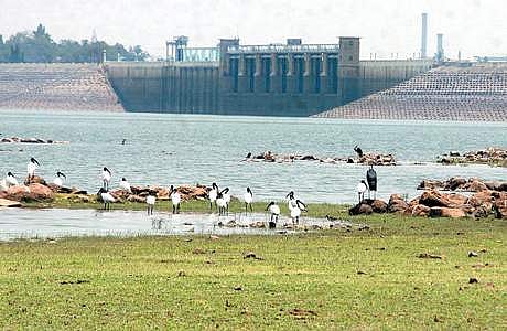 வைகை அணையில் 'வறட்சி': தேனி, திண்டுக்கல், மதுரை மாவட்டங்களில் முதல் போக நெல் சாகுபடிக்கு தண்ணீர் திறப்பதில் சிக்கல்