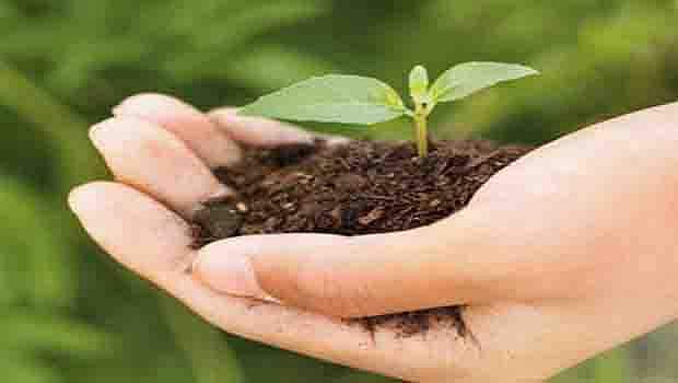 தனியாரிடம் பயிர்க் காப்பீடு தவிப்பில் விவசாயிகள்!