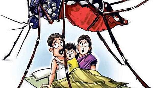 டெங்குவா பயப்படாதீர்கள், குணப்படுத்திவிடலாம்!