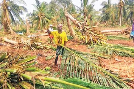 ஈடுசெய்யக்கூடியதா புதுகை விவசாயிகளின் வாழ்வாதாரம்?
