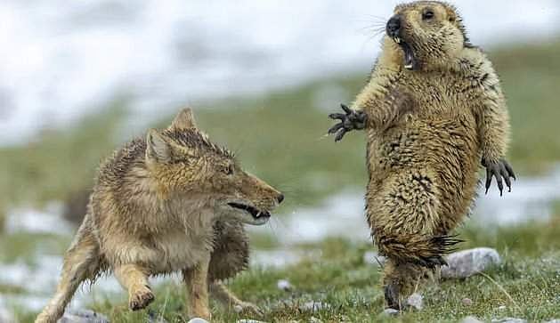 2019 ஆம் ஆண்டின் மிகச்சிறந்த புகைப்படம் இது!