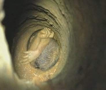 தொடரும் ஆழ்துளை அவலங்கள்; தூங்கும் ஆழ்துளை, ஆழ்குழாய்க் கிணறுகளை முறைப்படுத்தும் சட்டம்?