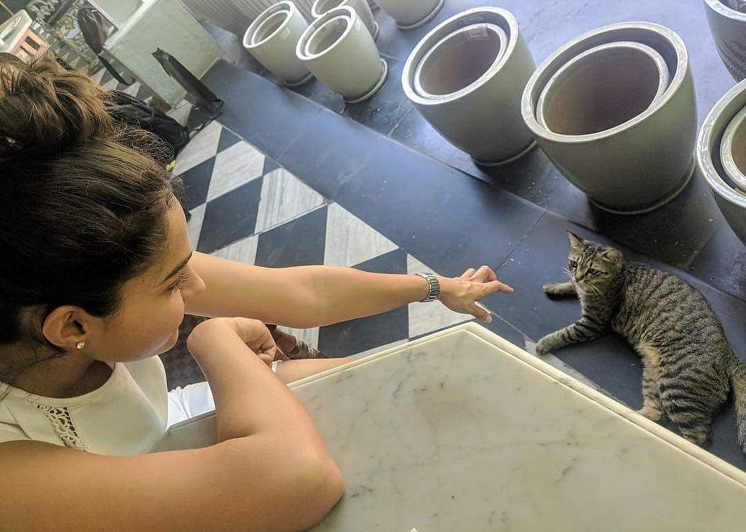 ஆண்டிரியாவுக்கு அப்படி என்ன ஆச்சு? இன்ஸ்டாகிராமில் அவரே தந்த விளக்கம்!