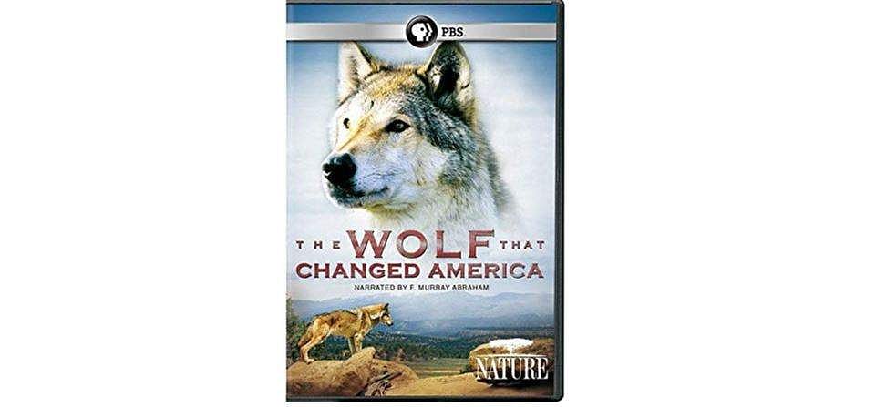 மனிதர் உணர்ந்துகொள்ள இது மனிதக் காதல் அல்ல! அமெரிக்காவையே மாற்றிய அற்புதக் காதல்!