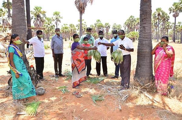 குளத்தூர் அருகே பனையோலை முகக்கவசம் தயாரித்து விற்பனை
