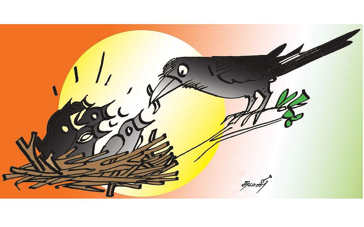 பகிர்ந்துண்டு வாழும் பறவை!