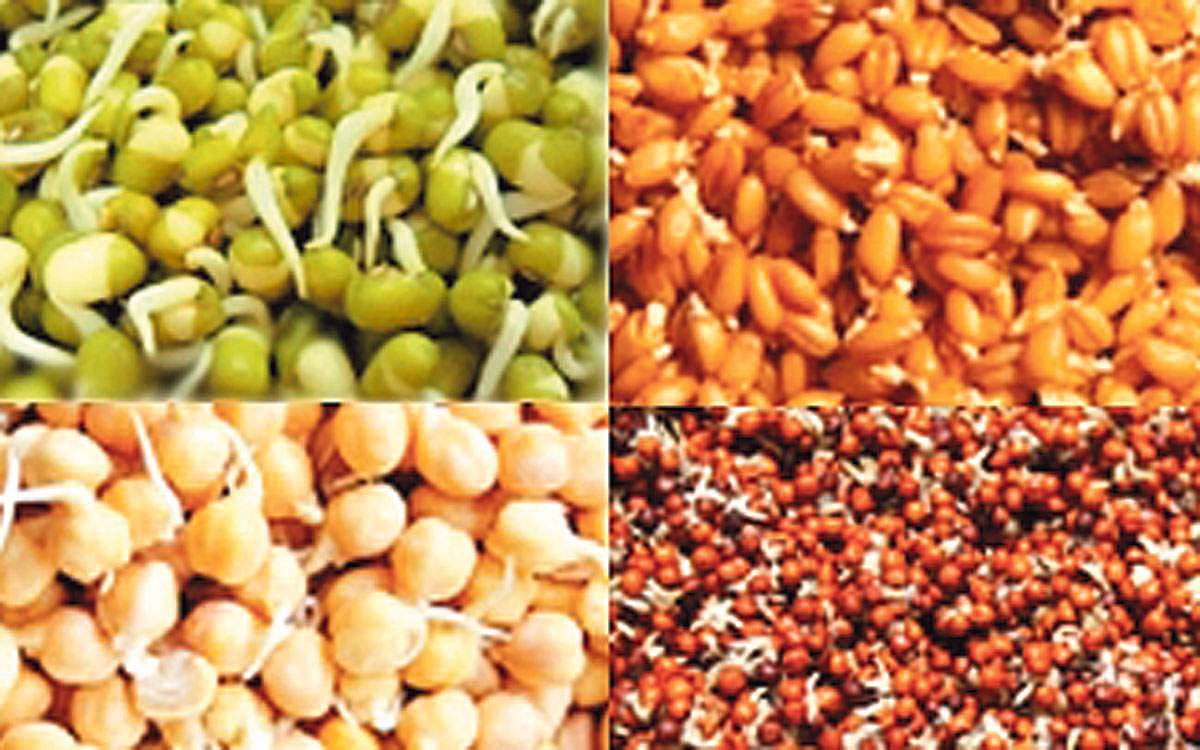 பலமளிக்கும் முளைகட்டிய தானியங்கள்