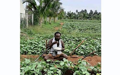 பாரம்பரிய முறையில் நவீன உத்தி: விவசாயத்தில் விழிப்புணர்வு ஏற்படுத்திவரும் முதுகலைப் பட்டதாரி