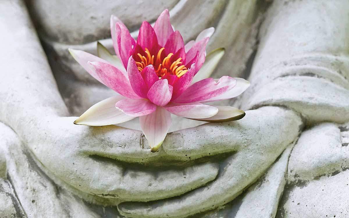 ஆயுள் காக்கும் ஆயுர்வேதம்: சுமூகம்... மகிழ்ச்சி... ஆரோக்கியம்!