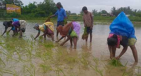 இயற்கை விவசாயம் ஏற்றம் பெறட்டும்