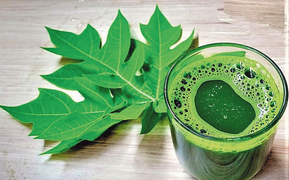 ஆயுள் காக்கும் ஆயுர்வேதம்: டெங்கு காய்ச்சலுக்கு மருந்து!