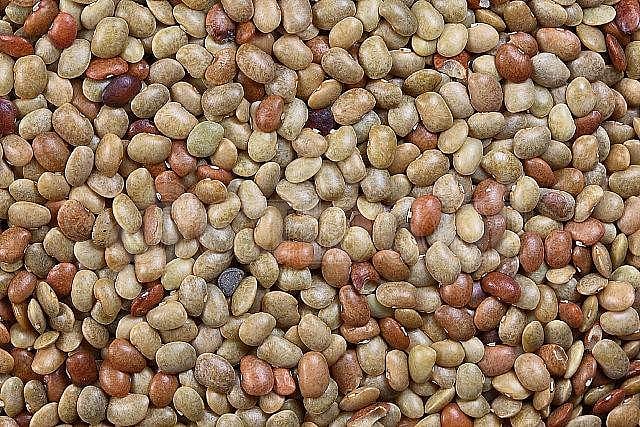 சுகம் தரும் சித்த மருத்துவம்: கொழுத்த உடலுக்கு உதவுமா ‘கொள்ளு’?