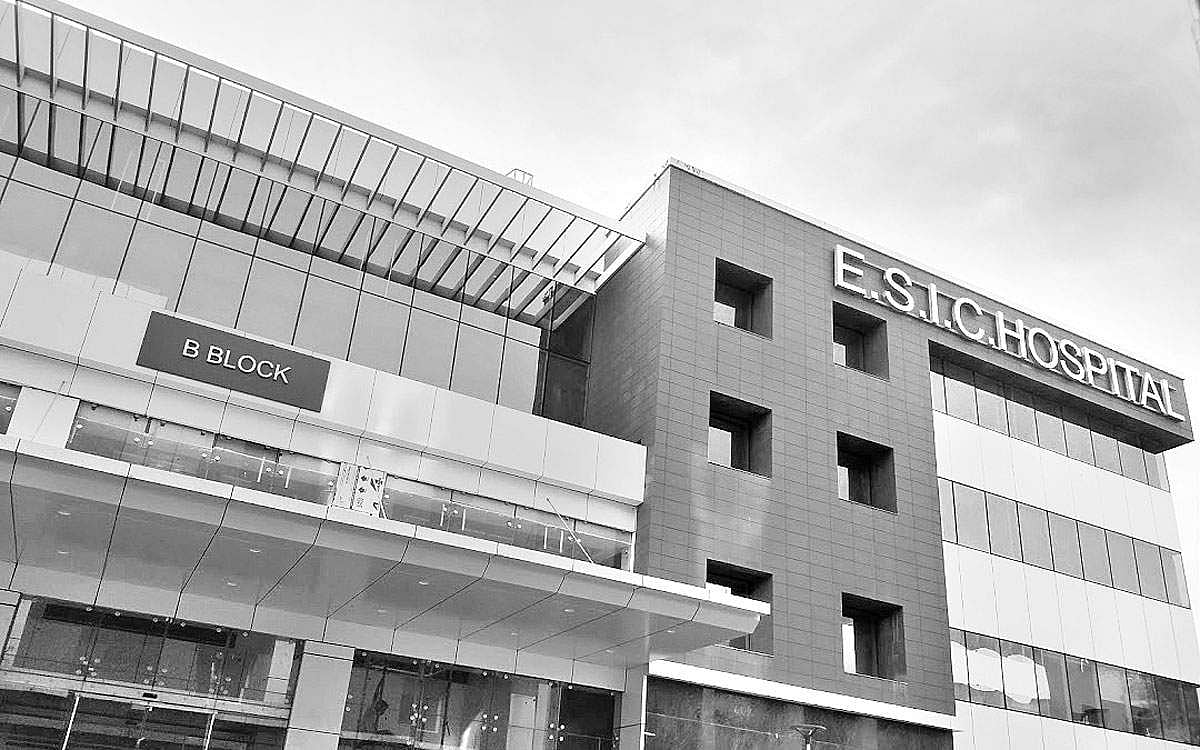 வேலை... வேலை... வேலை...