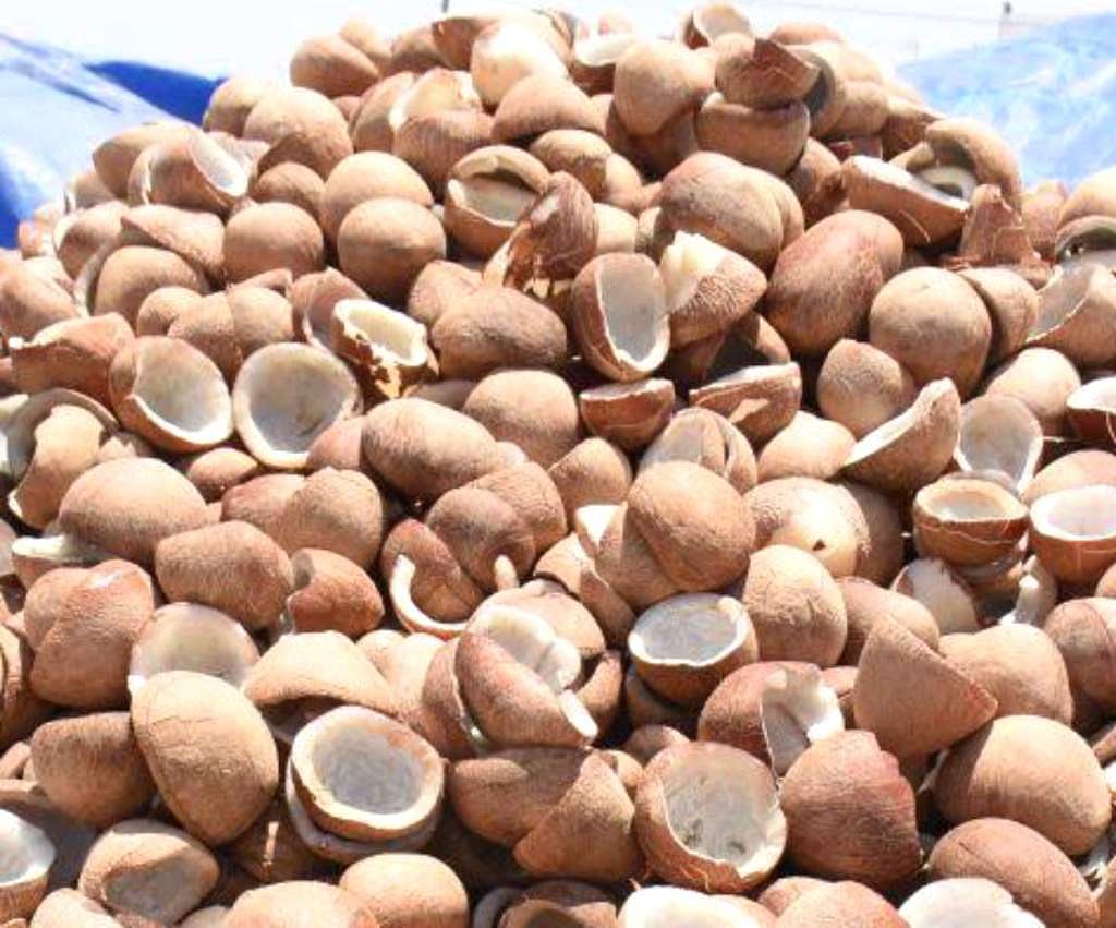 பெருந்துறையில் ரூ.3.95 கோடிக்கு கொப்பரை ஏலம்