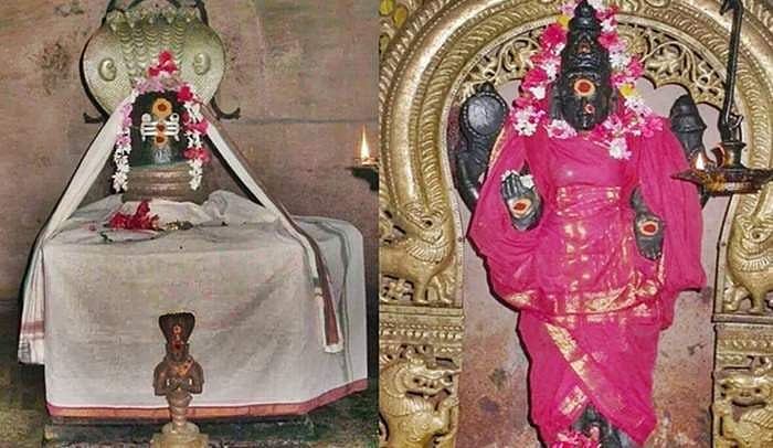 ராகு - கேது சர்ப்ப தோஷங்கள் நீக்கும் திருப்பாம்புரம் பாம்புரநாதர் திருக்கோயில்