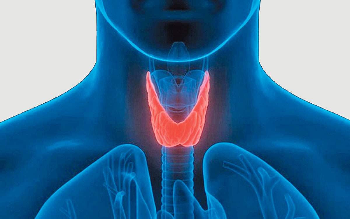 ஆயுள் காக்கும் ஆயுர்வேதம்: தைராய்டு பிரச்னை... உணவு, மருந்துகள்!