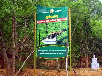 வனத்துறை மீண்டும் நோட்டீஸ்: மேகமலை-வருஷநாடு விவசாயிகளுக்கு வலுக்கும் சிக்கல்