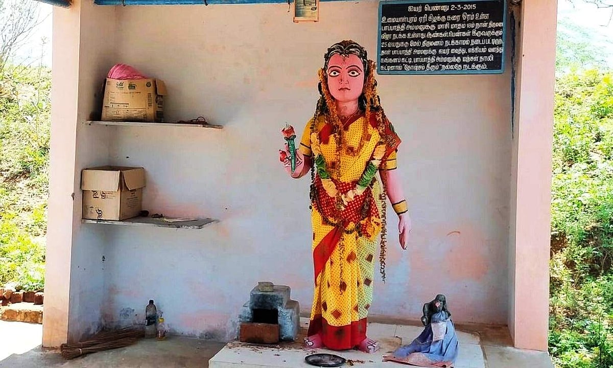 மனதில் விரும்பும் வரன் கிடைக்க அம்மனுக்கு தாலி கட்டும் இளைஞர்கள்!