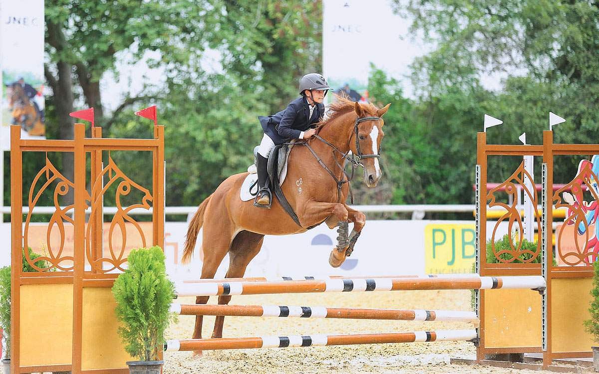 ஏற்றம் தந்த குதிரையேற்றம்!