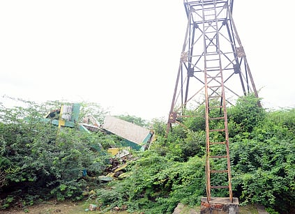 கோடியக்கரை வன உயிரின சரணாலயம் மேம்படுத்தப்படுமா?