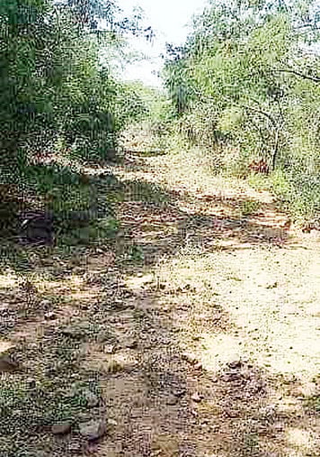 தமிழகம், ஆந்திரம், கா்நாடகம் மூன்று மாநிலங்களை இணைக்கும் பழைய ராணுவச் சாலையை புதுப்பிக்க கோரிக்கை