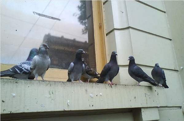 நம்மை பாதிக்காதவரை சரி!