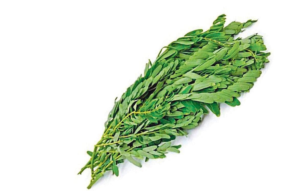 அகத்திக் கீரையின் மகத்துவம்