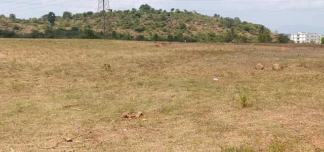 சேலம்: கூட்டுறவு கடன் சங்கங்களில் விவசாயிகளுக்கு வட்டியில்லா பயிர் கடன் வழங்க அலைகழிப்பு